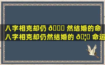 八字相克却仍 💐 然结婚的命（八字相克却仍然结婚的 🦋 命运如何）